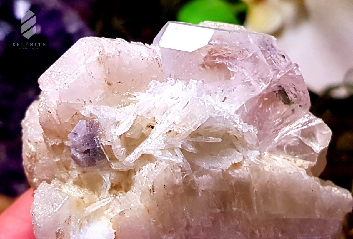 morganite brutte
